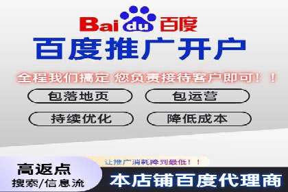 解析sem代运营公司经典案例：如何实现ROI最大化